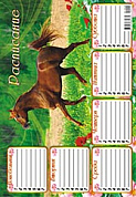 Расписание (А4-картон) Лошади