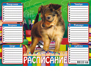 Расписание (А4-картон) Собаки