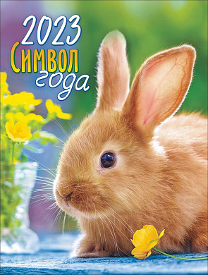 Календарь на магните Кролик фото