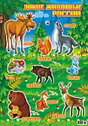 Постер А2 (лак) Дикие животные (России)
