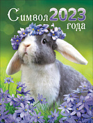 Календарь на магните Кролик фото