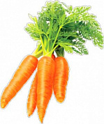 Плакат фигурный 400х300 Плакат "Морковь"