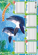 Расписание А4 (картон-глиттер) Дельфины