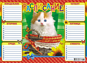 Расписание (А4-картон) Кошки