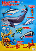 Постер А2 Морские животные