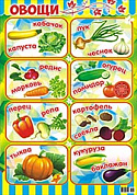 Постер А2 (лак) Овощи