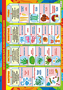 Плакат А2 картон Биология