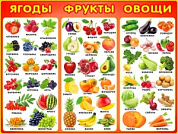 Плакат 595x450 Плакат "Ягоды, фрукты, овощи"